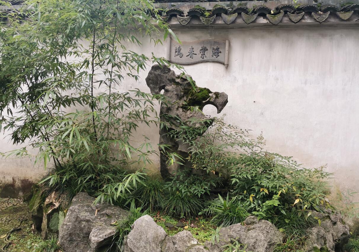 QQ؈D20200814142731.jpg